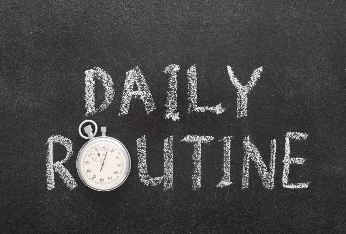 daily routine watch